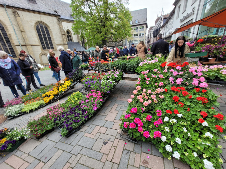 Goslar lädt wieder zum Gartenmarkt ein. 