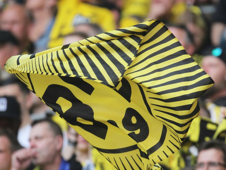 Fans von Borussia Dortmund (Archiv)