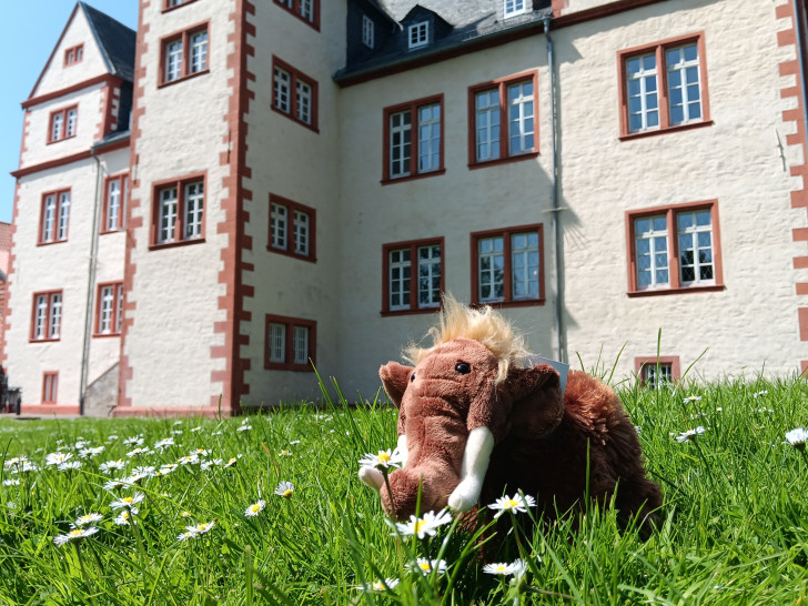 Eines der Plüsch-Mammuts, die man bei der Schnitzeljagd gewinnen kann. 