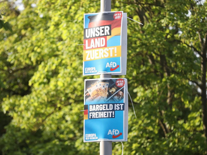 AfD-Wahlplakate zur Europawahl (Archiv)