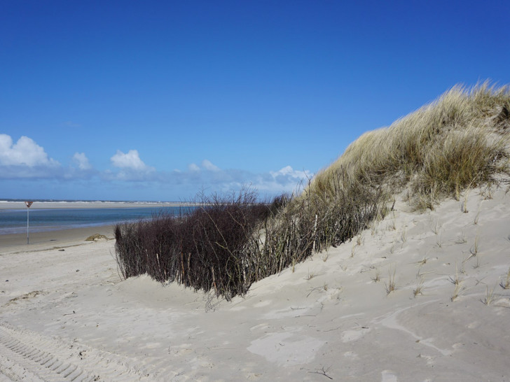 Blick auf den Weststrand auf Spiekeroog.