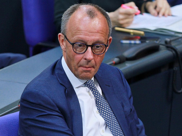 Friedrich Merz (Archiv)