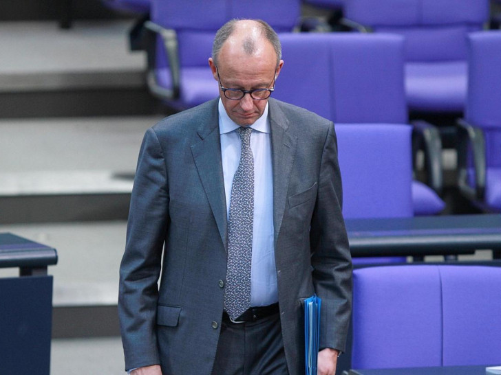 Friedrich Merz (Archiv)