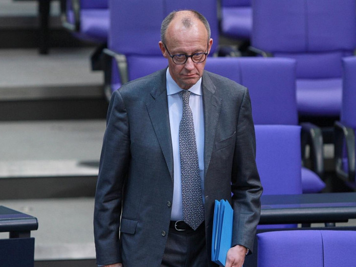 Friedrich Merz (Archiv)