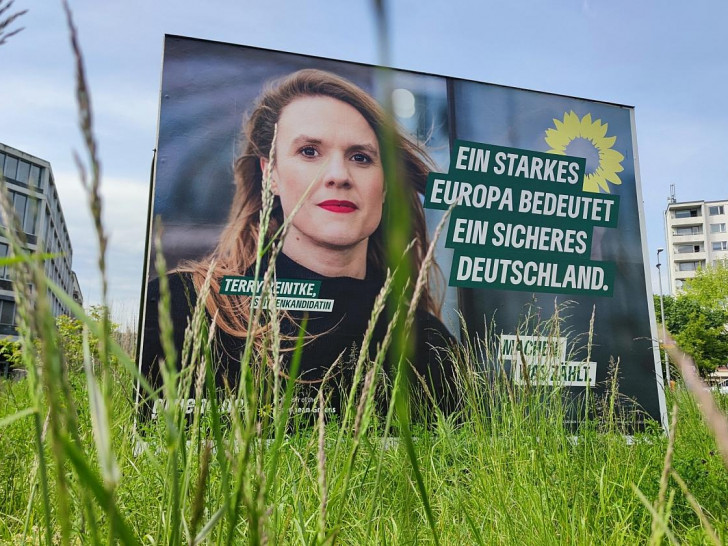 Grünen-Wahlplakat zur Europawahl (Archiv)