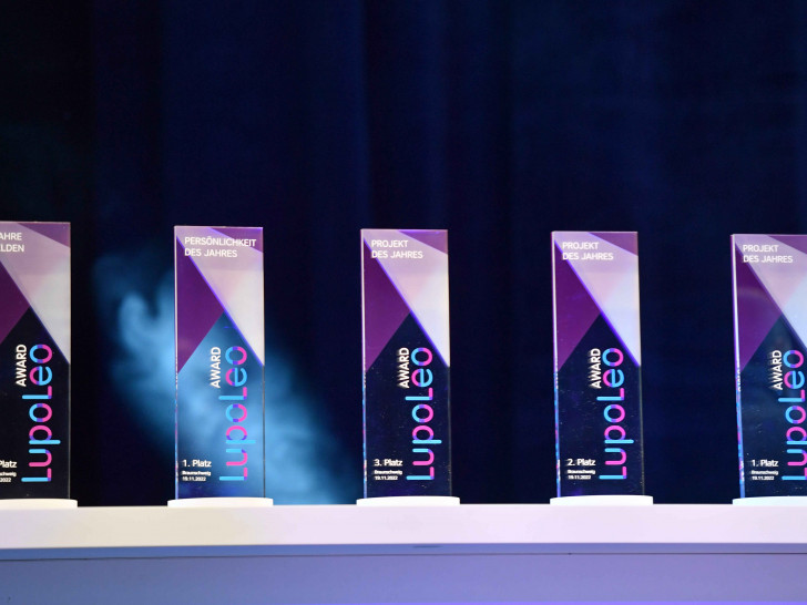 Auch in diesem Jahr wird der LupoLeo Award wieder in den drei Kategorien "Projekt-Award" (3 Preise), "Wahre Helden" (1 Preis) sowie "Persönlichkeit des Jahres" (1 Preis) vergeben und ist mit insgesamt 100.000 Euro Fördermitteln dotiert.
