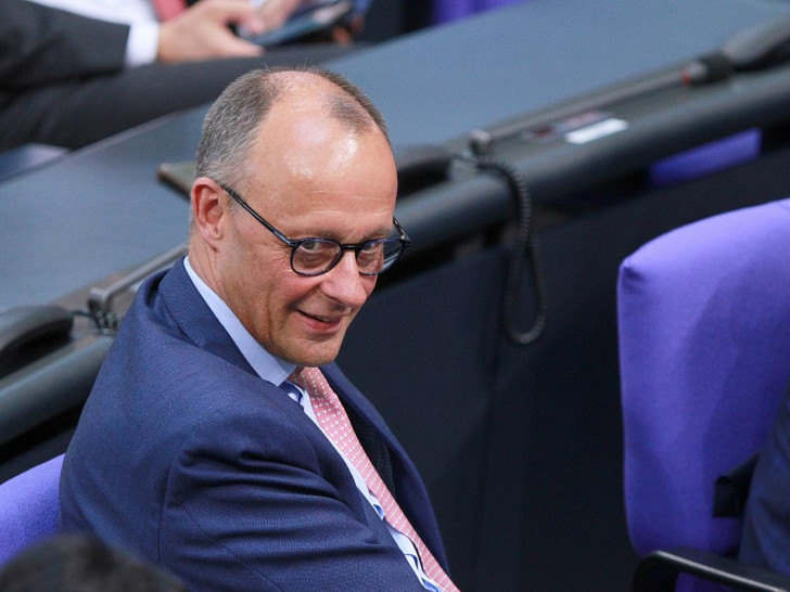 Friedrich Merz (Archiv)