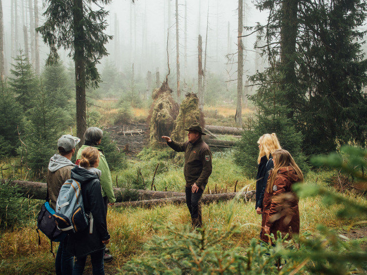 Der Nationalpark Harz beteiligt sich an der „Woche der Natur“ und lädt Besucher ein, an den Veranstaltungen teilzunehmen, zum Beispiel bei der Exkursion „Mit dem Ranger den Nationalpark Harz entdecken“.