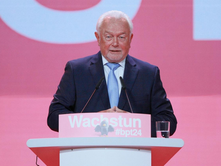 Wolfgang Kubicki (Archiv)