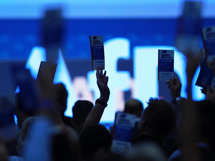 Abstimmung auf AfD-Parteitag (Archiv)