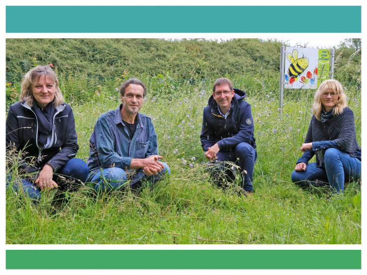 Anja Hartlich und Arne Obermayr (Abteilung Grünflächen der Stadt Wolfenbüttel), Dr. Uwe Messer (Kommunen für biologische Vielfalt) und Martina Münstermann-Kreifels (Umweltbeauftragte der Stadt Wolfenbüttel) bei einem der Blühstreifen im Waldenburger Park (v. li.).