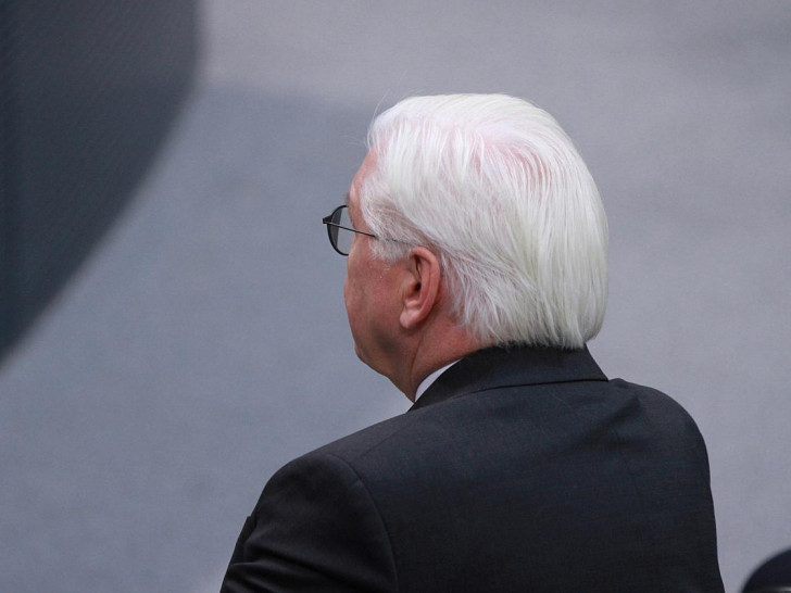 Frank-Walter Steinmeier (Archiv)