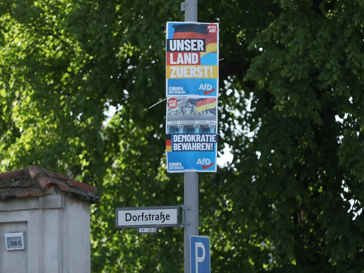 AfD-Wahlplakate zur Europawahl (Archiv)