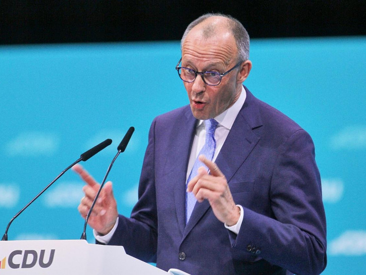 Friedrich Merz (Archiv)