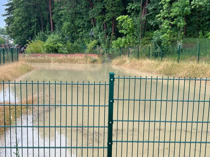 Das Regenrückhaltebecken hinter der Jugend- und Drogenberatung an der Hildesheimer Straße.