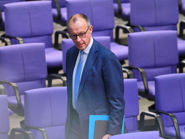 Friedrich Merz (Archiv)