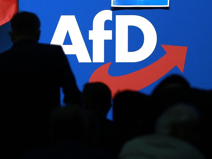 Logo auf AfD-Parteitag (Archiv)