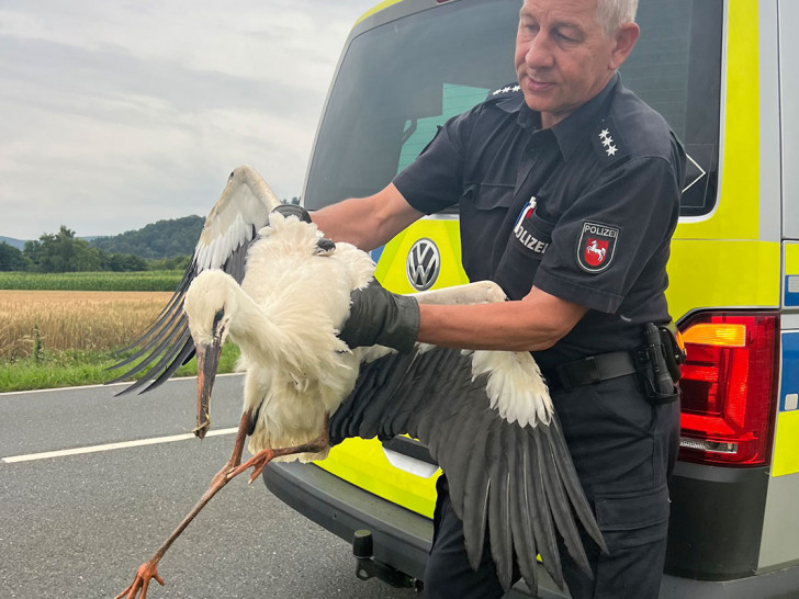 Widerstand zwecklos: Die Polizei nahm das Tier mit.