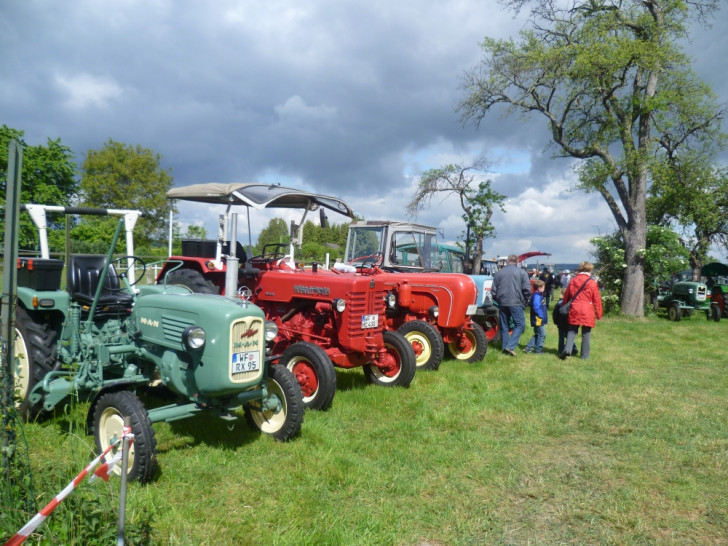 Einige historische Traktoren bei der Treckermeile 2011, damals noch auf dem Hof Rollwaage in Sehlde.