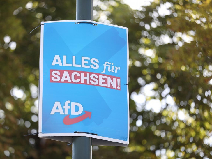 AfD-Wahlplakat zur Landtagswahl in Sachsen (Archiv)