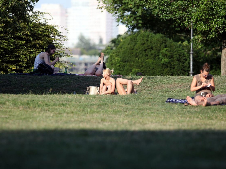 Sonnenbaden auf einer Wiese (Archiv)