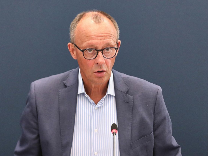 Friedrich Merz (Archiv)