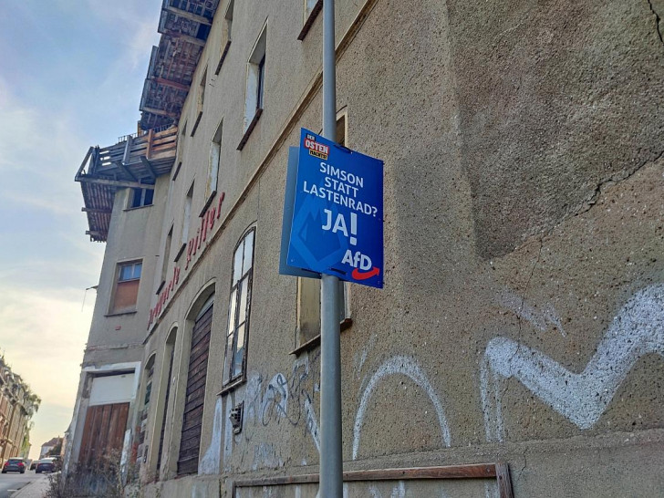 AfD-Wahlplakat zur Landtagswahl in Thüringen (Archiv)