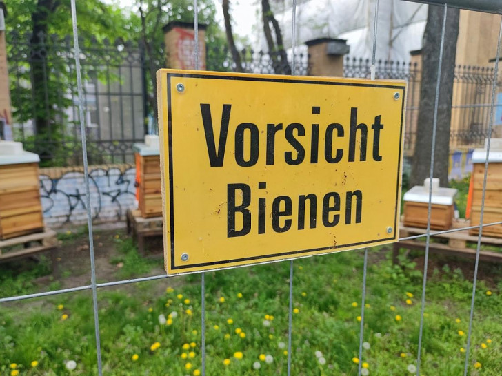 Schild mit der Aufschrift "Vorsicht Bienen" (Archiv)