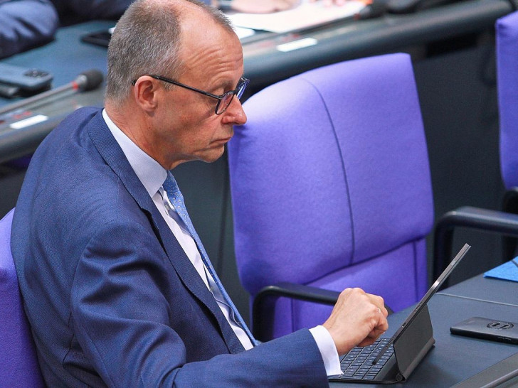 Friedrich Merz (Archiv)