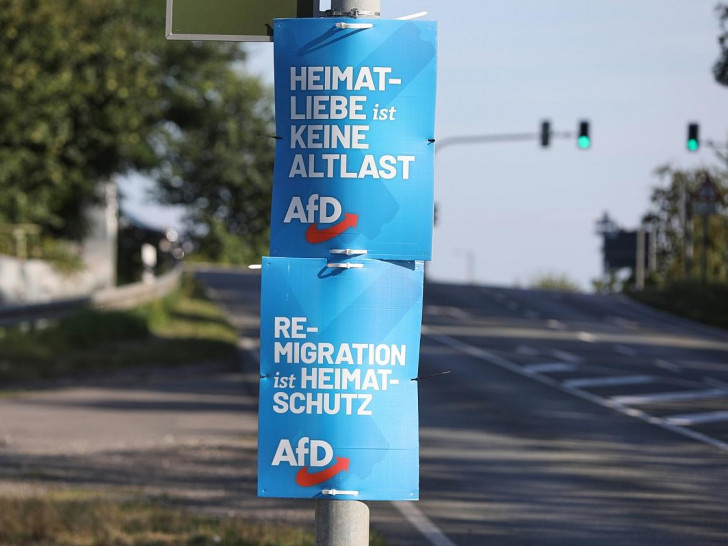 AfD-Wahlplakate zur Landtagswahl in Sachsen (Archiv)