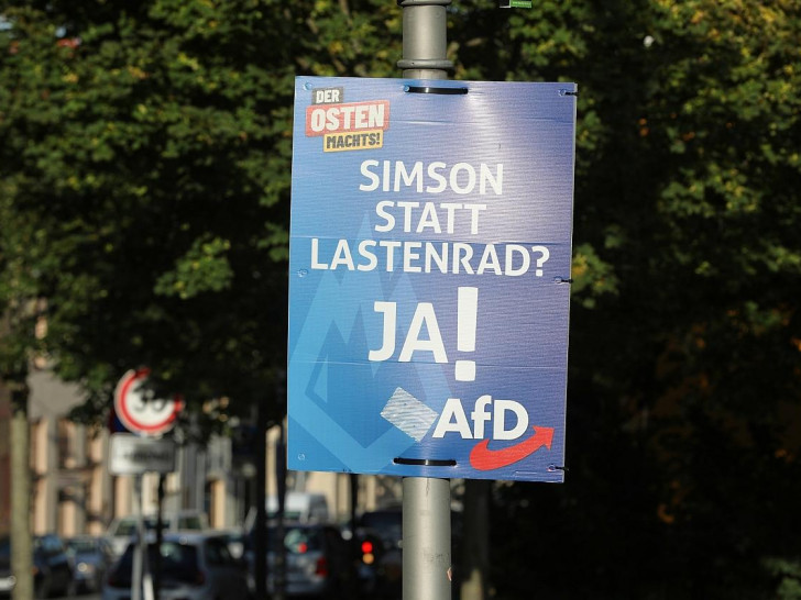 AfD-Wahlplakat zur Landtagswahl in Thüringen (Archiv)