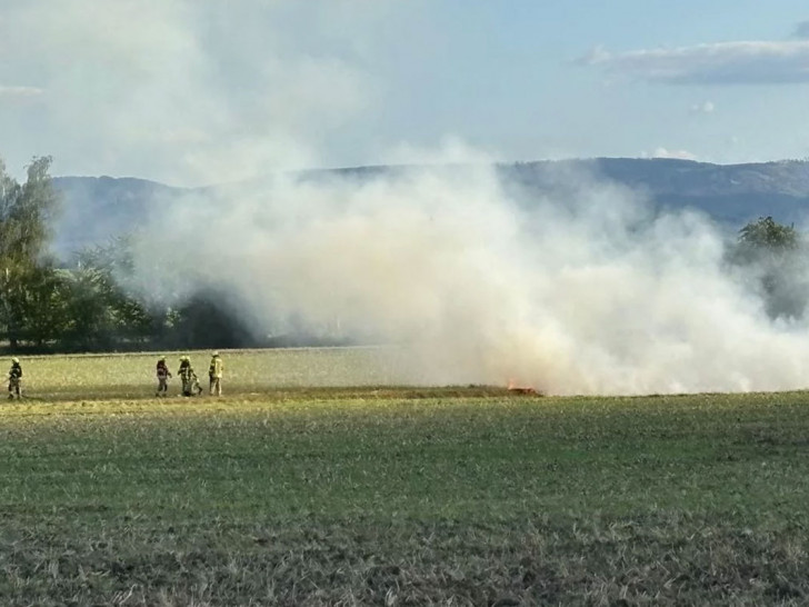 Die Feuerwehr musste zu einem Flächenbrand ausrücken.