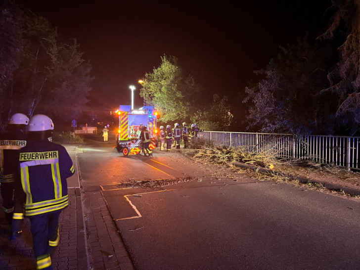 Im Landkreis Helmstedt musste die Feuerwehr zu Sturmeinsätzen ausrücken. 