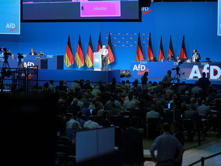 AfD-Parteitag (Archiv)