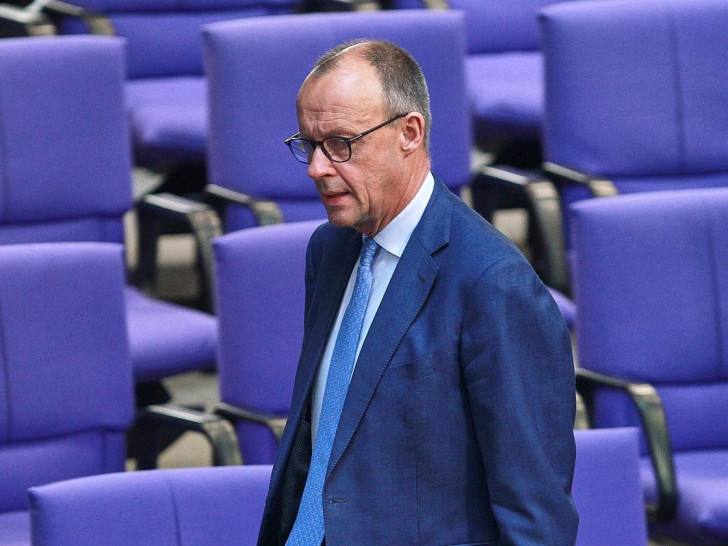 Friedrich Merz (Archiv)