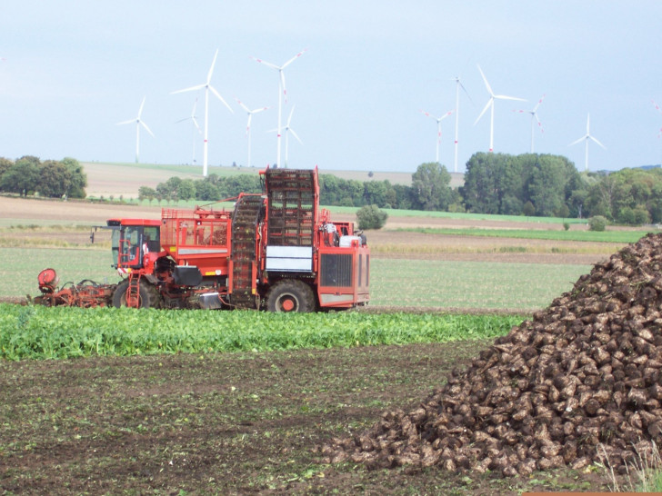 Während der Herbsternte sind viele Erntefahrzeuge unterwegs.