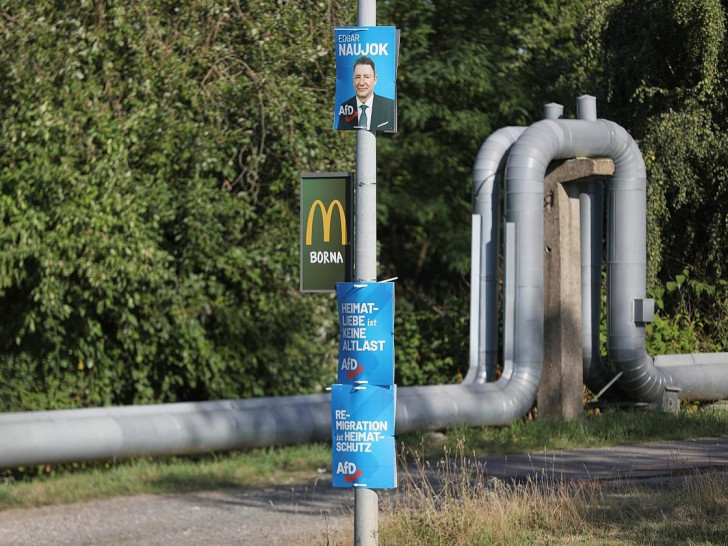 AfD-Wahlplakate zur Landtagswahl in Sachsen (Archiv)