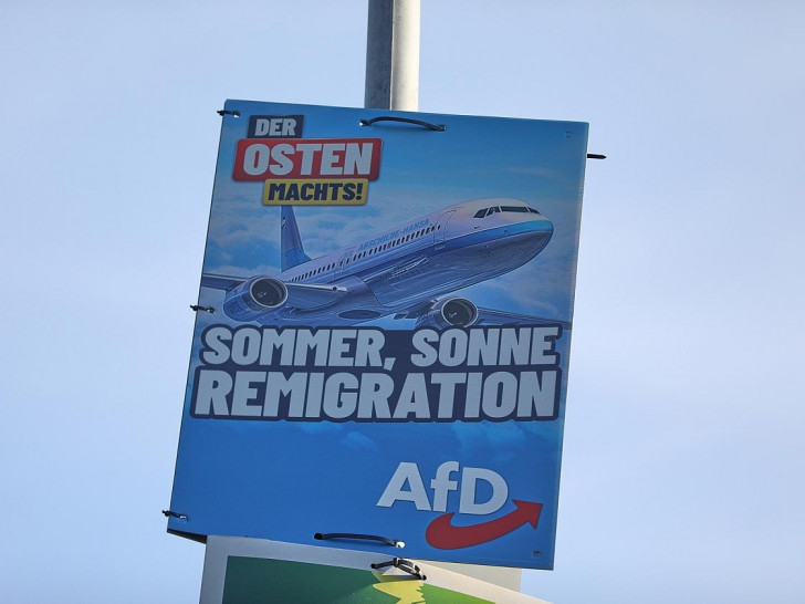 AfD-Wahlplakat zur Landtagswahl in Thüringen (Archiv)