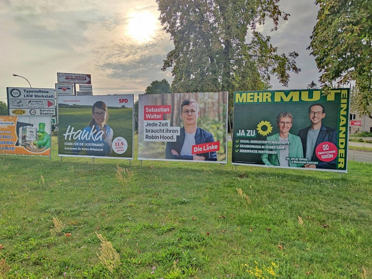 Wahlplakate zur Landtagswahl in Brandenburg (Archiv)