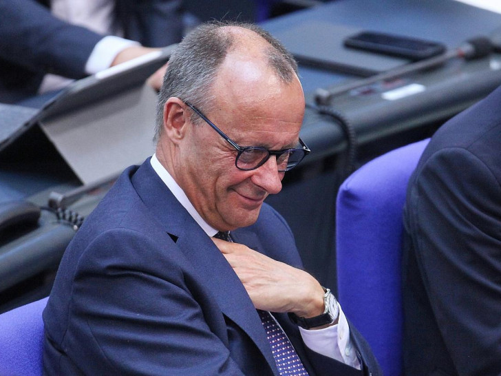 Friedrich Merz (Archiv)