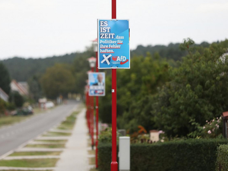 AfD-Wahlplakate zur Landtagswahl in Brandenburg (Archiv)