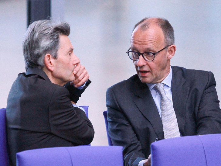 Rolf Mützenich und Friedrich Merz (Archiv)