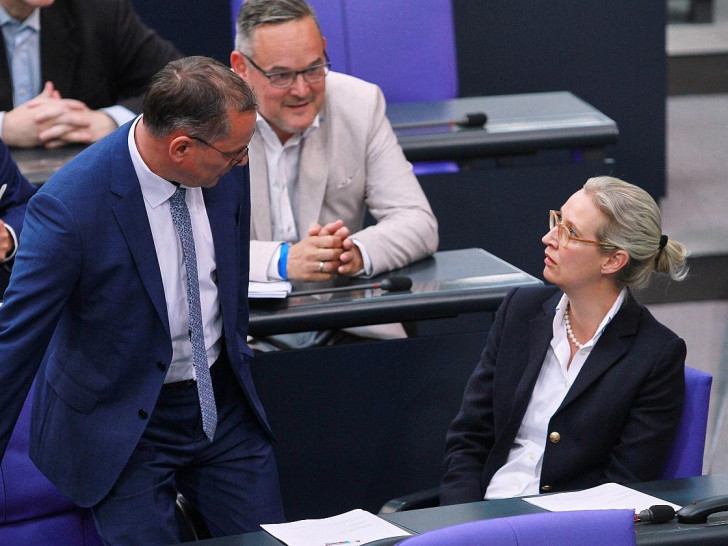 AfD-Abgeordnete Chrupalla, Reichardt, Weidel (Archiv)