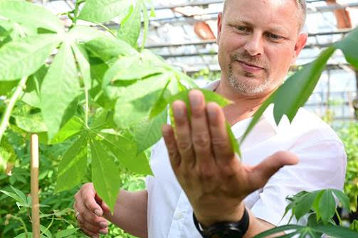 Dr. Björn Krenz, Abteilungsleiter Pflanzenviren im Forschungsgewächshaus, Leibniz-Institut DSMZ.