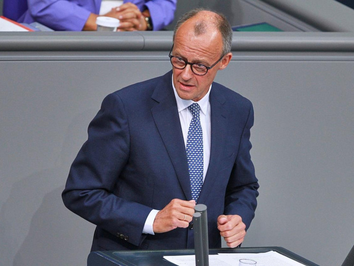 Friedrich Merz am 11.09.2024