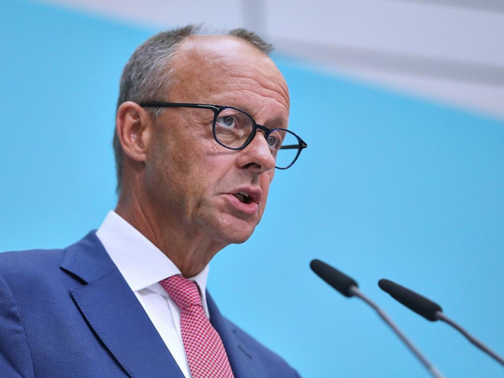 Friedrich Merz (Archiv)