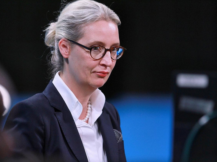 Alice Weidel (Archiv)