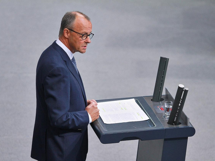 Friedrich Merz am 11.09.2024