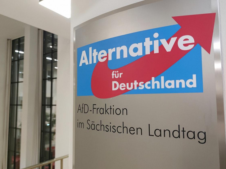 AfD-Fraktion im Sächsischen Landtag (Archiv)