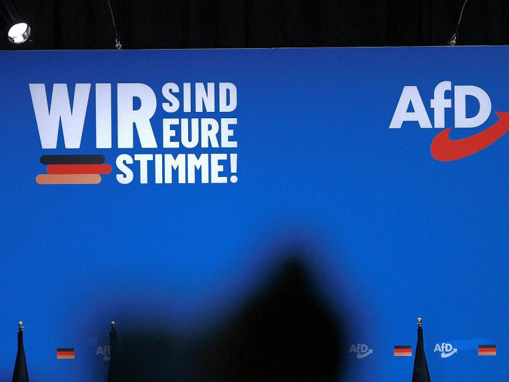 AfD-Logo und Slogan (Archiv)